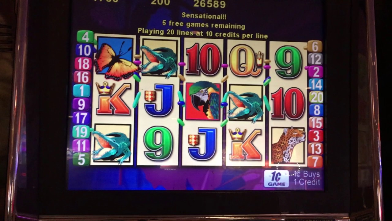 Slot Machines Los Angeles Casinos